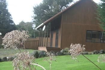 Ariari Lodge, Lake Rotorangi Stratford Exterior photo